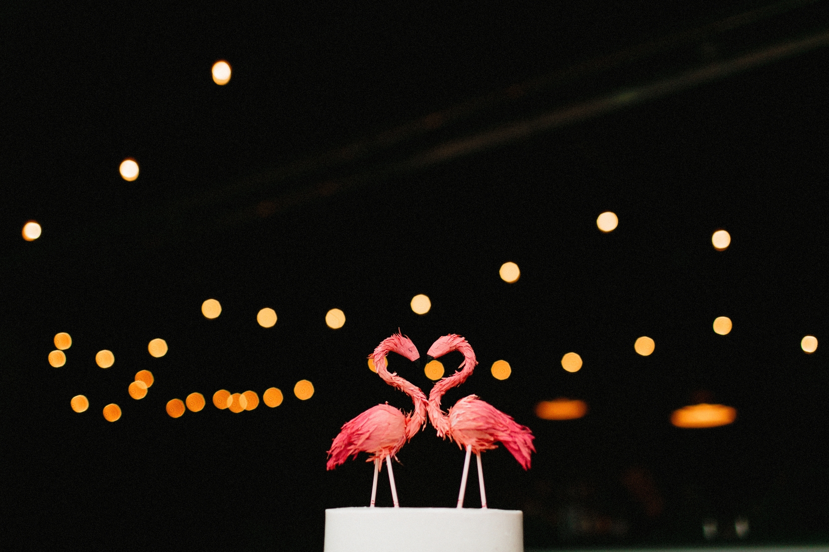 tropical_urban_denver_blanc_wedding-393